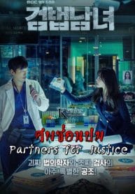 Partners for Justice1