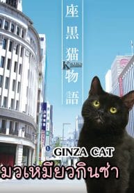 GINZA CAT