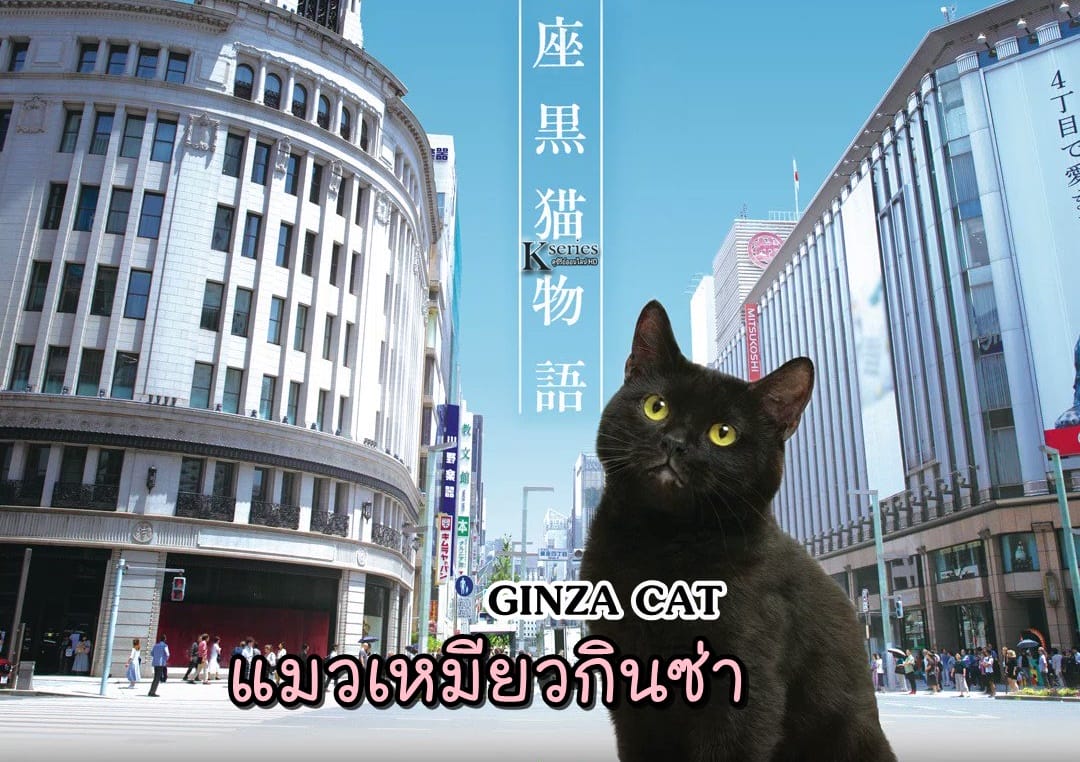 ซีรี่ย์ญี่ปุ่น GINZA CAT แมวเหมียวกินซ่า พากย์ไทย