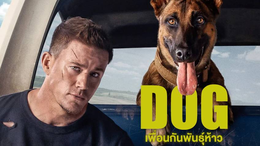 หนังฝรั่ง Dog (2022) เพื่อนกันพันธุ์ห้าว (ซับไทย)