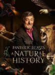 Fantastic Beasts A Natural History